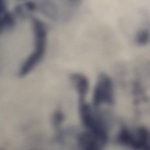 Meet your Posher, Kylie